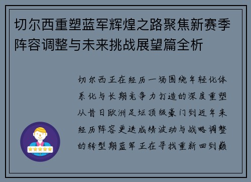 切尔西重塑蓝军辉煌之路聚焦新赛季阵容调整与未来挑战展望篇全析